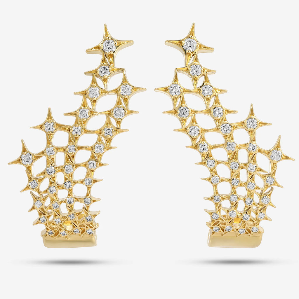 Stellar Net Earrings