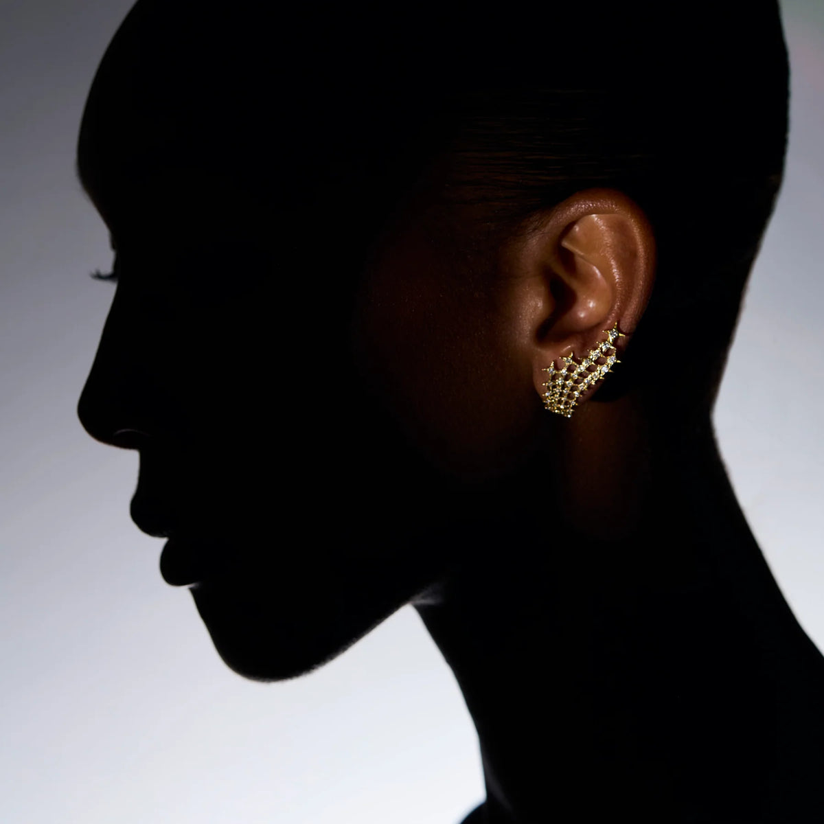 Stellar Net Earrings